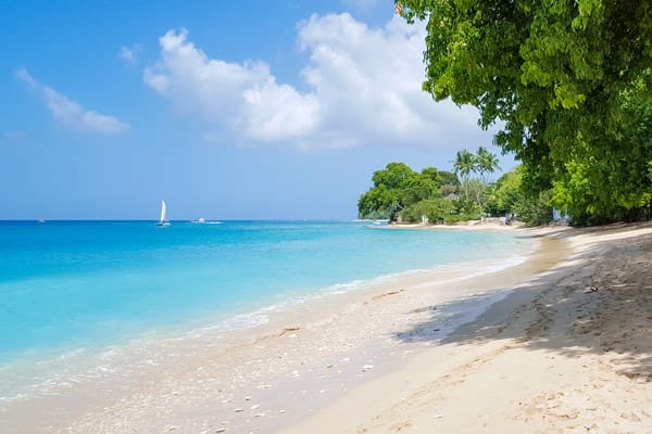 barbados caribbean tropical paradise beach