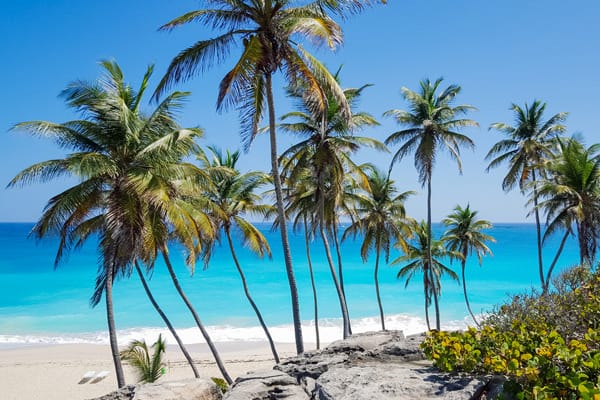 barbados caribbean tropical paradise beach